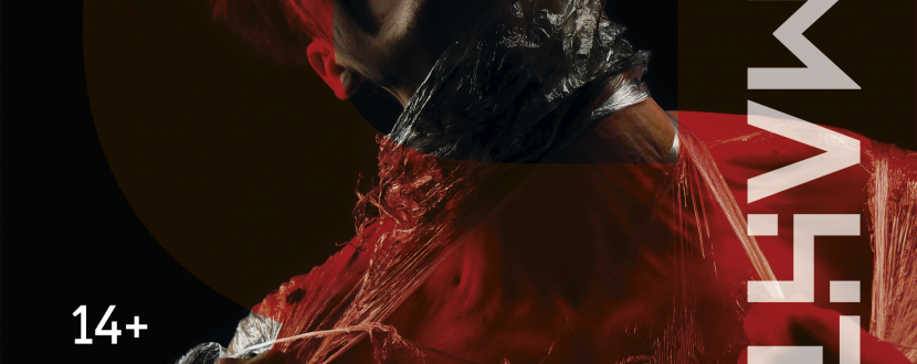 Я (Романтика) - Вистава