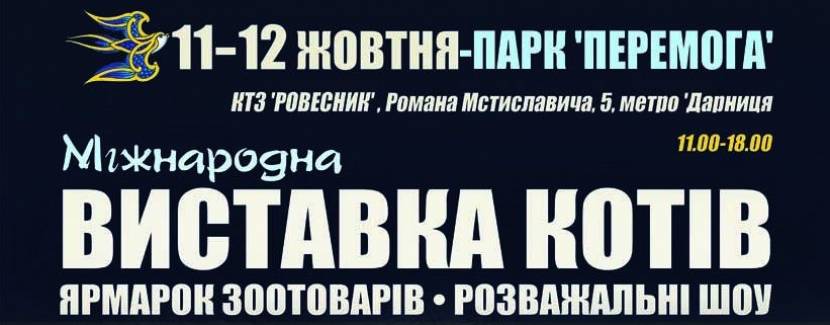 Міжнародна виставка котів у Києві