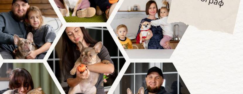 Фотодні для тих, хто любить тварин 🐾📸