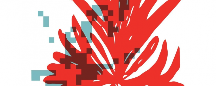 Червона рута