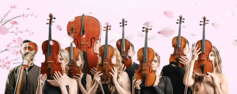 Кольори пристрасного танго - Концерт