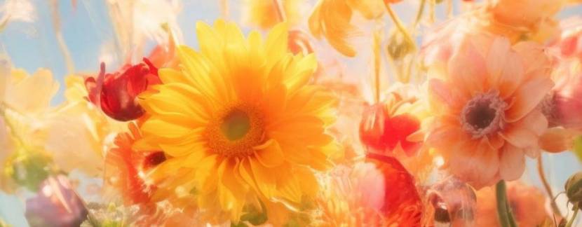 Благодійний ярмарок  у ТРЦ ПЛАЗА ПАРК