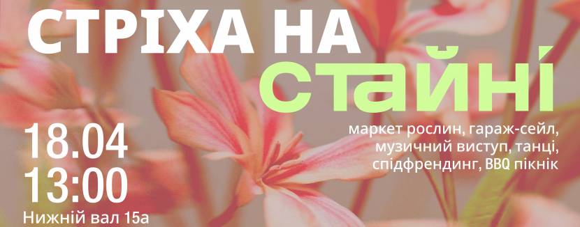 Стріха на Стайні