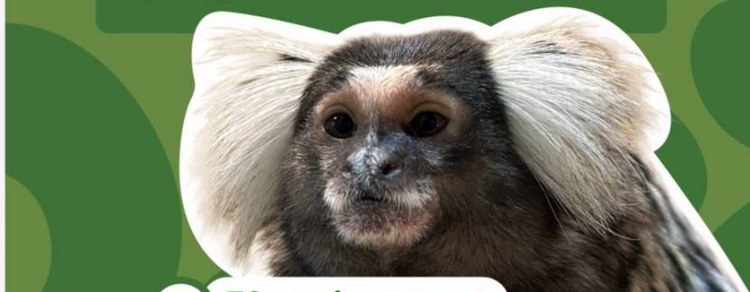 Екскурсії до Центру порятунку тварин "Zooworld"