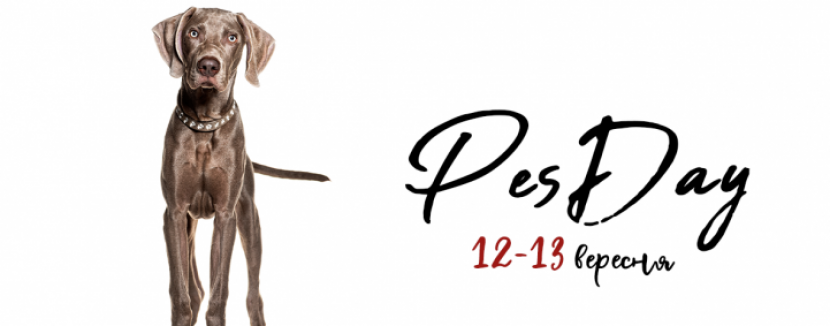 PesDay - Фестиваль у Києві