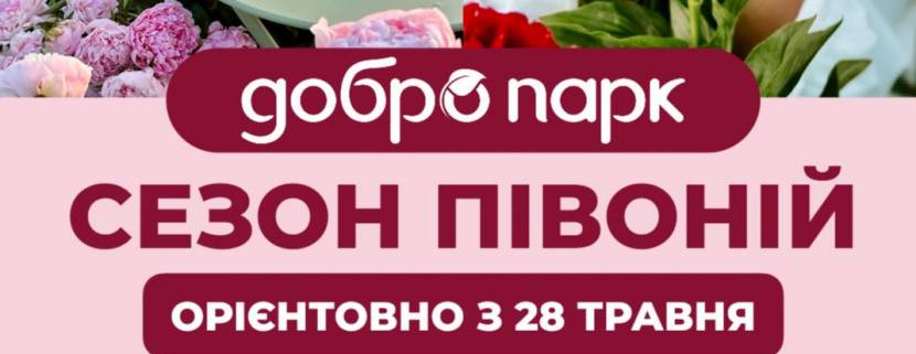 Сезон півоній у Добропарку