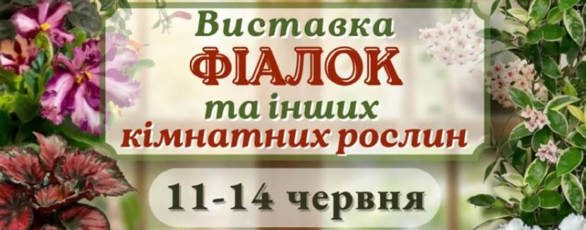 Виставка фіалок та інших кімнатних рослин