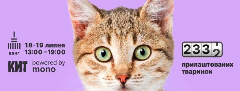 Фестиваль Adopt Me Days на ВДНГ