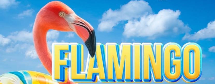 FLAMINGO PARTY у ТРЦ РайON