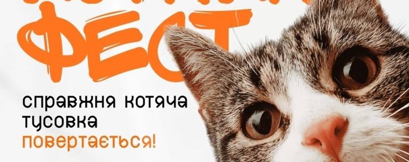 КОТИКИ ФЕСТ - Фестиваль у Києві