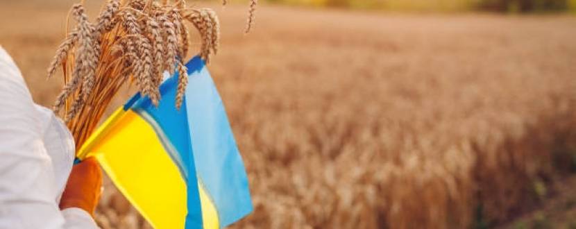 Музичний гала-концерт до Дня Незалежності