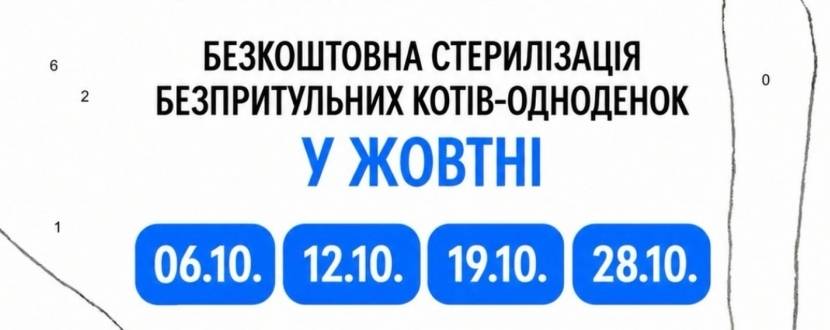 Котодні у ЛКП Лев - Безкоштовна стерилізація безпритульних котів