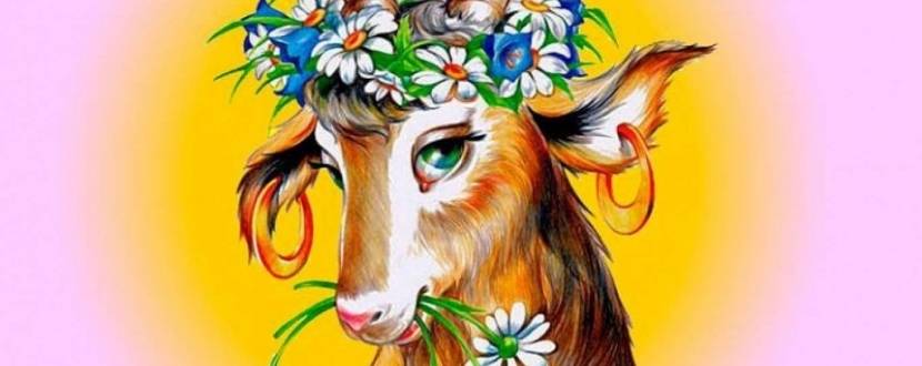 Дитяча вистава "Коза Дереза" від театру ім. М. Старицького, м. Хмельницький