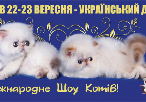 Міжнародне шоу котів у Києві