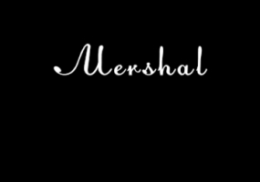 Корпоратив в Mershal