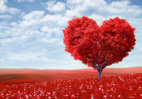 Музика сердець - Святкова шоу-програма