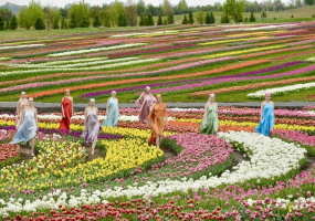 Фестиваль петунії 2020