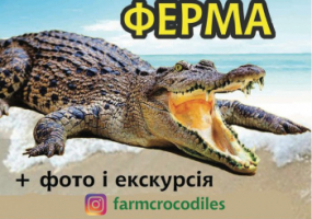 Крокодилова ферма у Кропивницькому