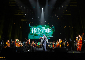 The Harry Potter symphony: Музика з кінофільмів у виконанні симфонічного оркестру