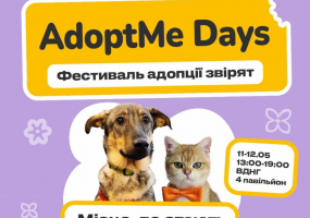 AdoptMe Days - Фестиваль адопції звірят