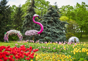 Вся афиша Киева - Весна на Співочому полі