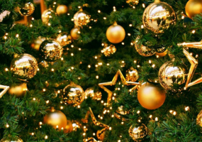 Новорічна імпреза "Віденський вечір"