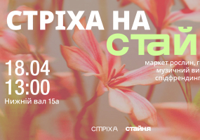Стріха на Стайні