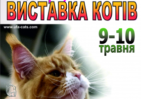 Міжнародна виставка котів