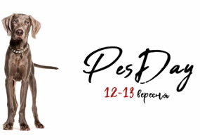 PesDay - Фестиваль у Києві
