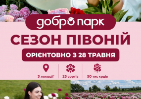 Сезон півоній у Добропарку