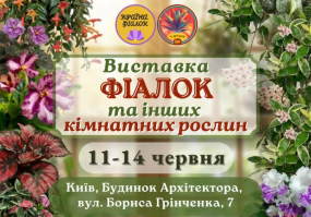 Виставка фіалок та інших кімнатних рослин
