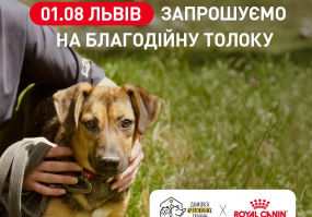 Афіша Львова - Благодійна толока у Львові