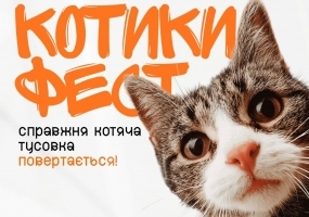 Вся афиша Киева - КОТИКИ ФЕСТ - Фестиваль у Києві