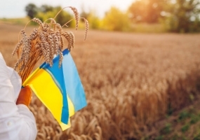 Музичний гала-концерт до Дня Незалежності