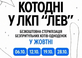 Котодні у ЛКП Лев - Безкоштовна стерилізація безпритульних котів