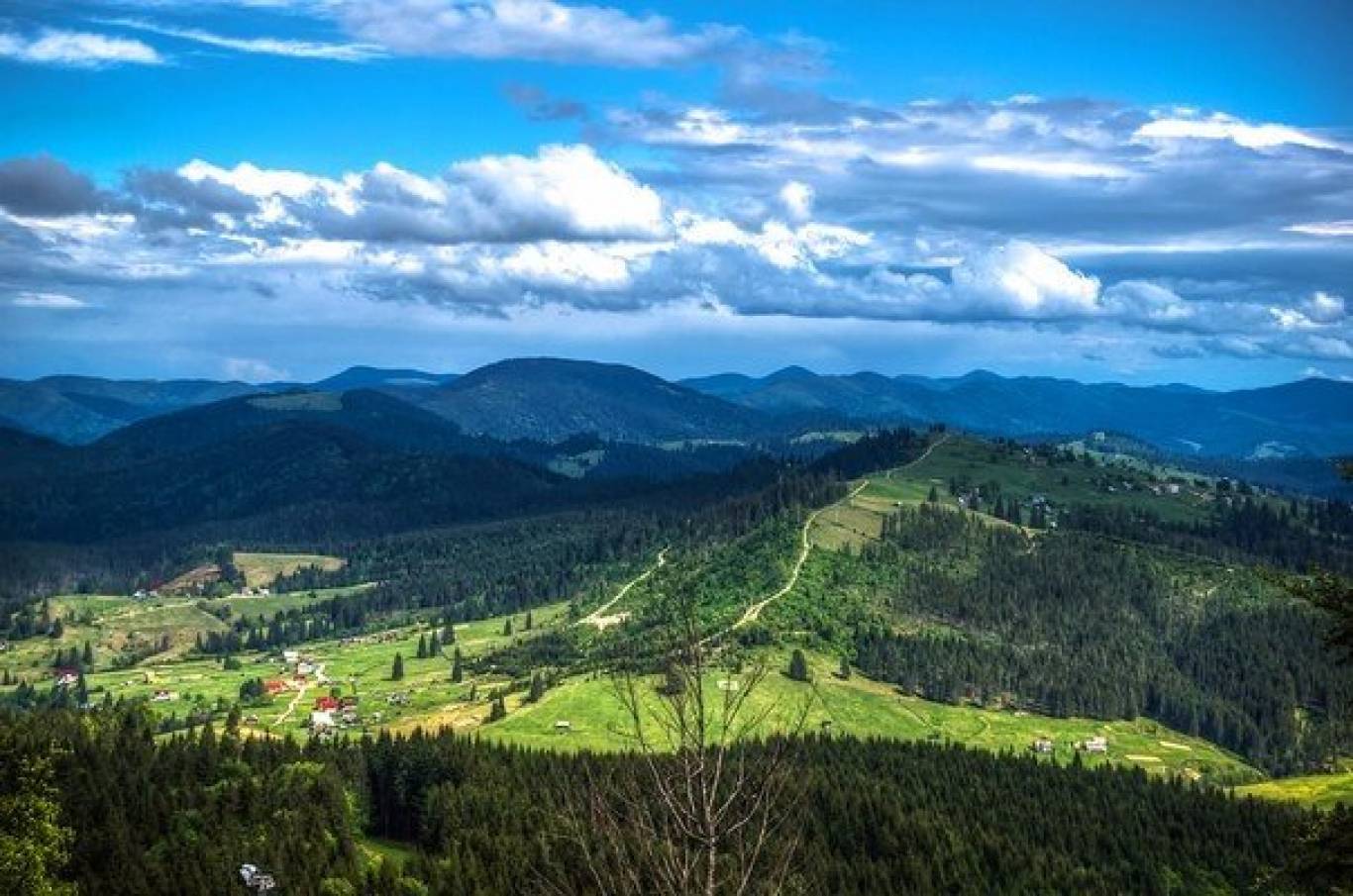 Літні Карпати. Тур на 3 дні.