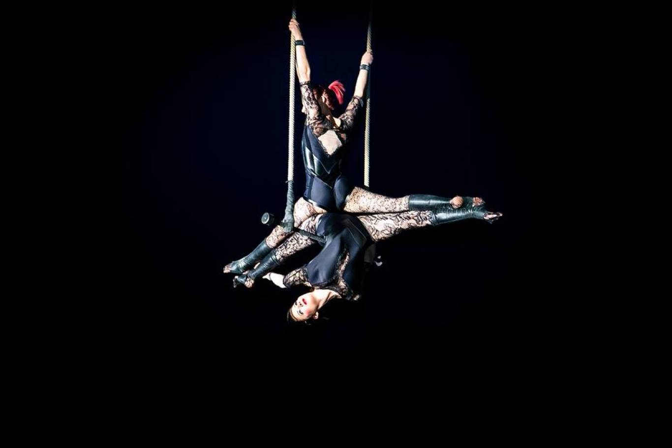 Цирк "Будапешт" у Вінниці