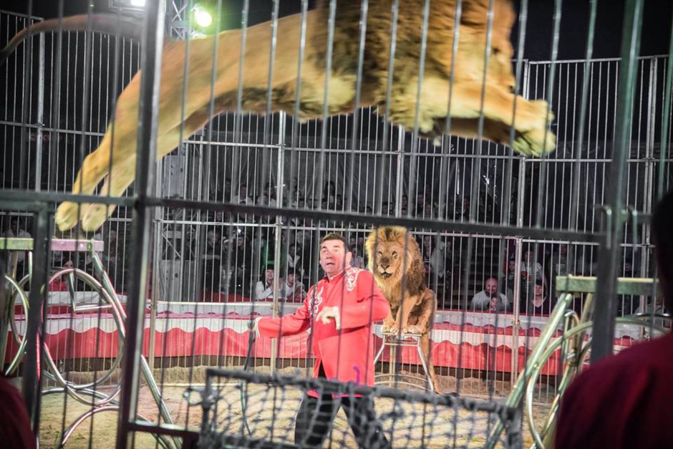 Цирк "Будапешт" у Вінниці