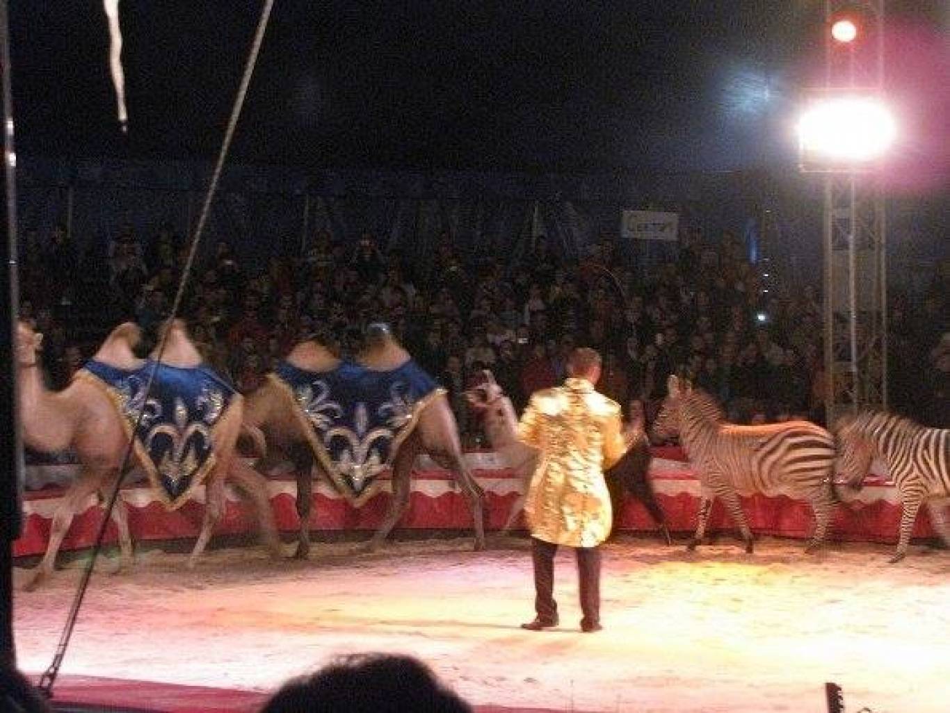 Цирк "Будапешт" у Вінниці