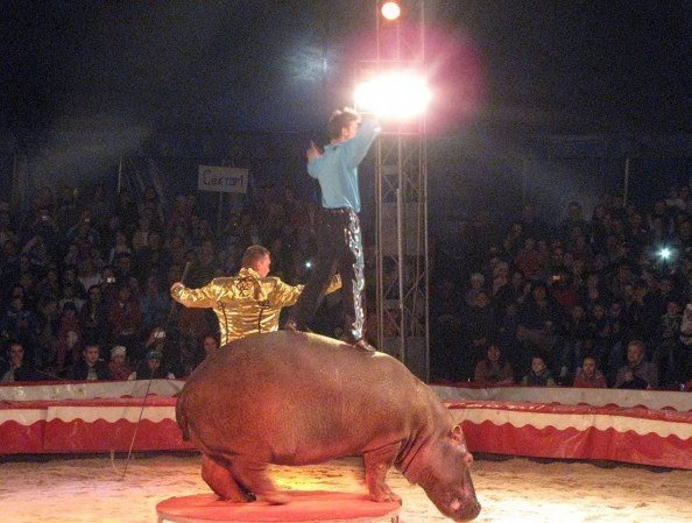 Цирк "Будапешт" у Вінниці