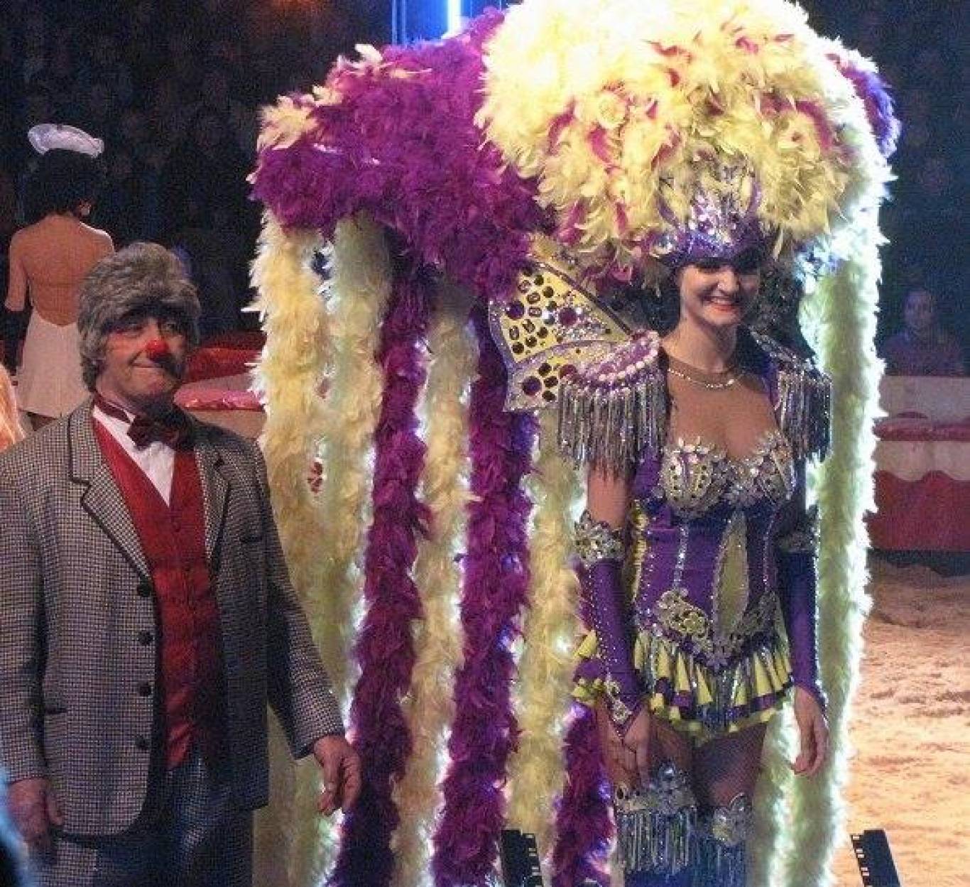 Цирк "Будапешт" у Вінниці