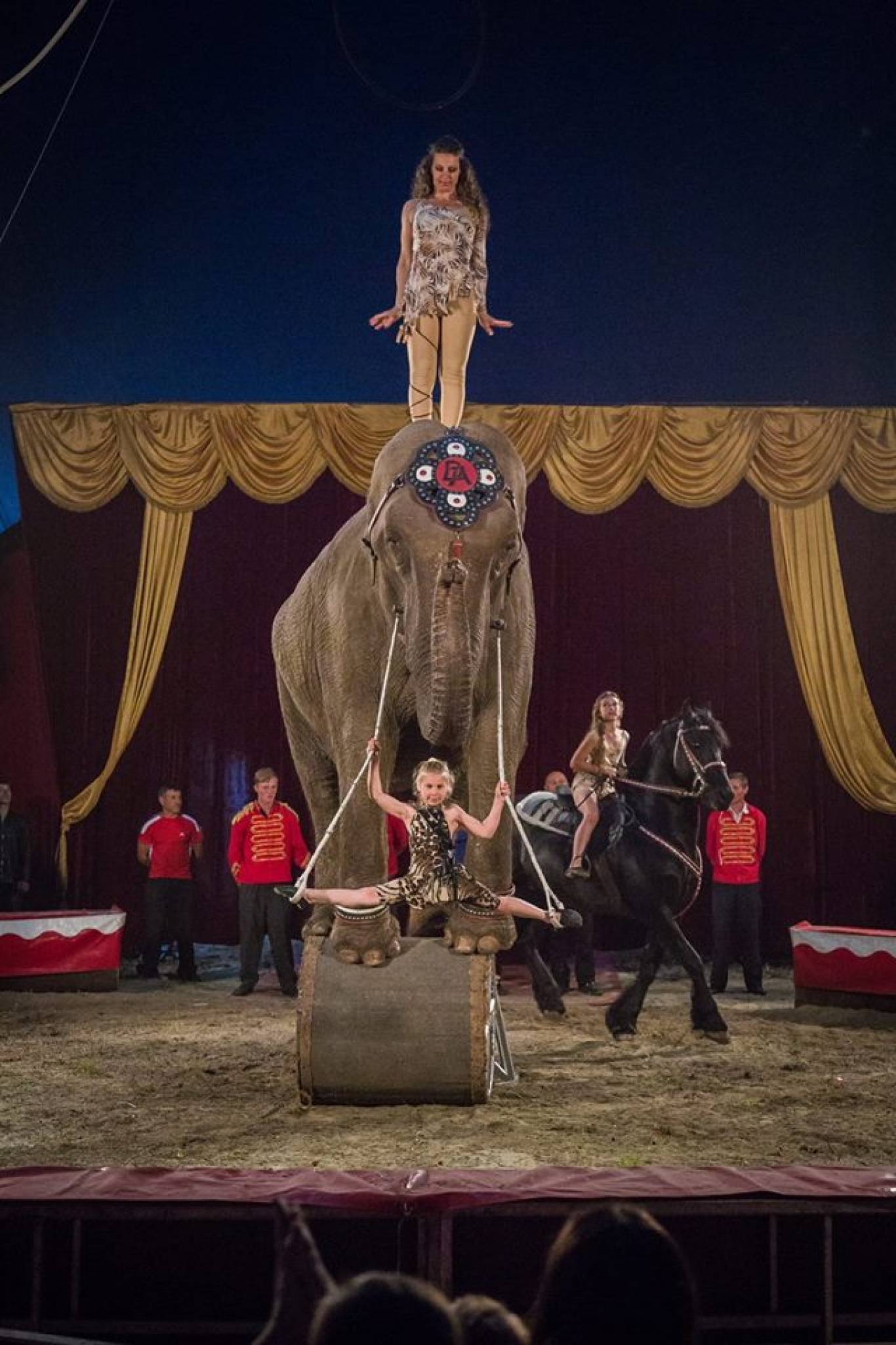 Цирк "Будапешт" у Вінниці