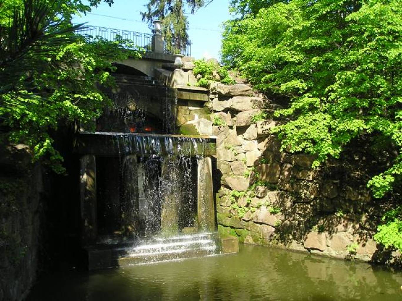 Поїздка в Умань в дендропарк "Софіївка" та Жашківський кінний завод