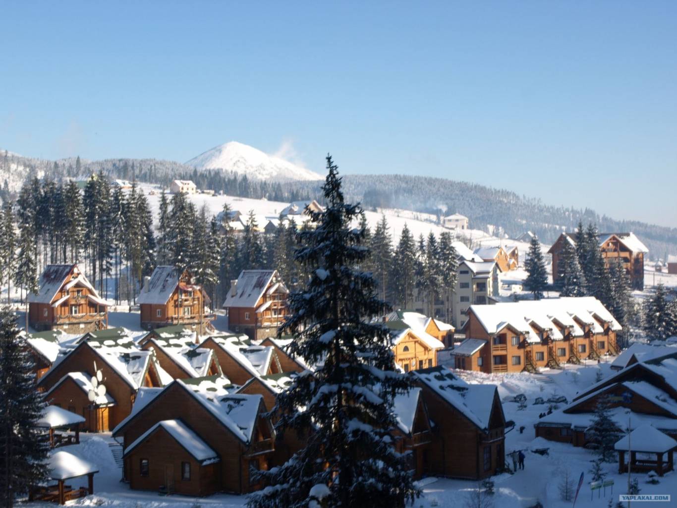 Відпочинок у Буковелі