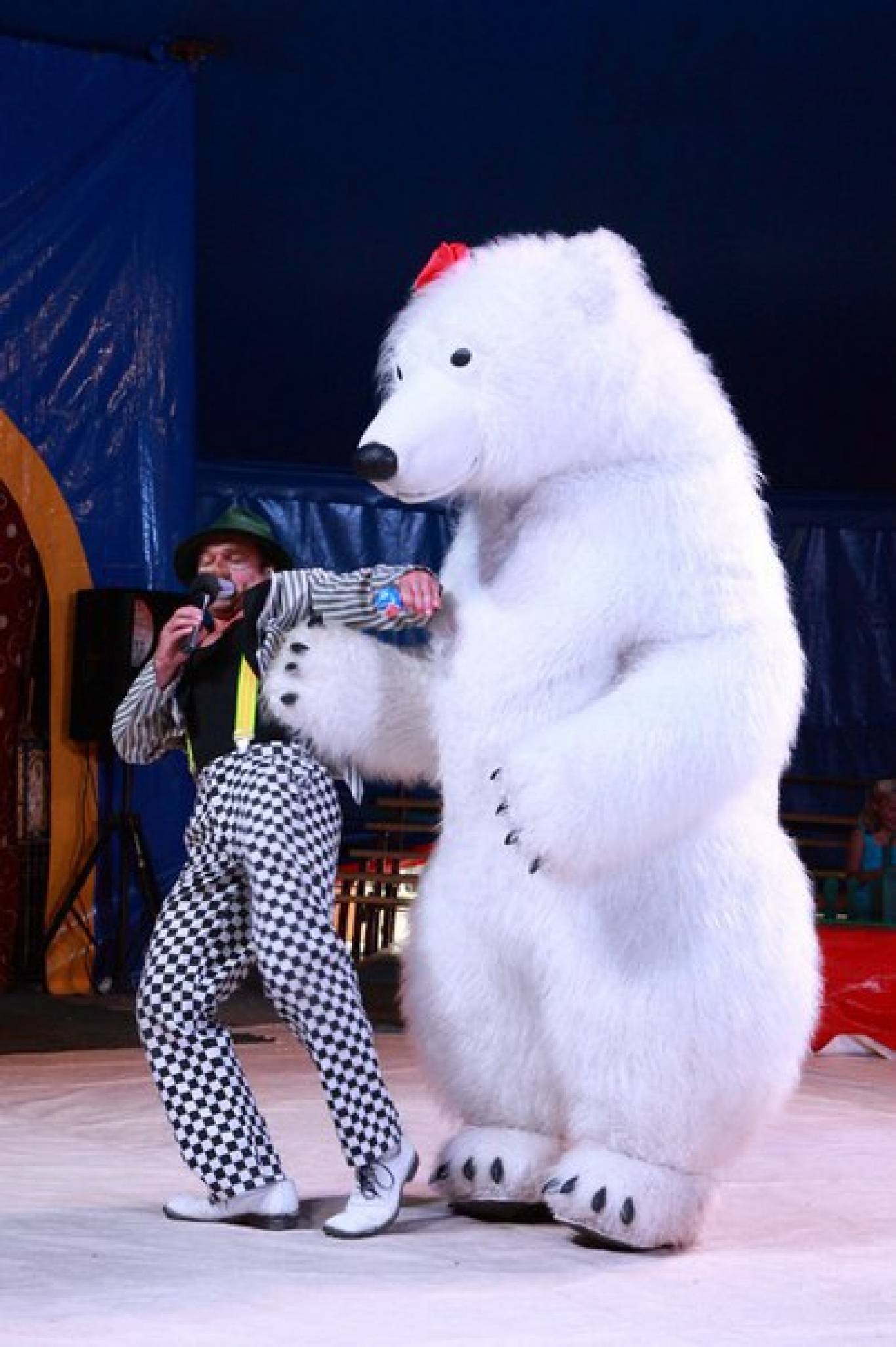 Цирк-шапіто "Вогник Незламності" у Вінниці