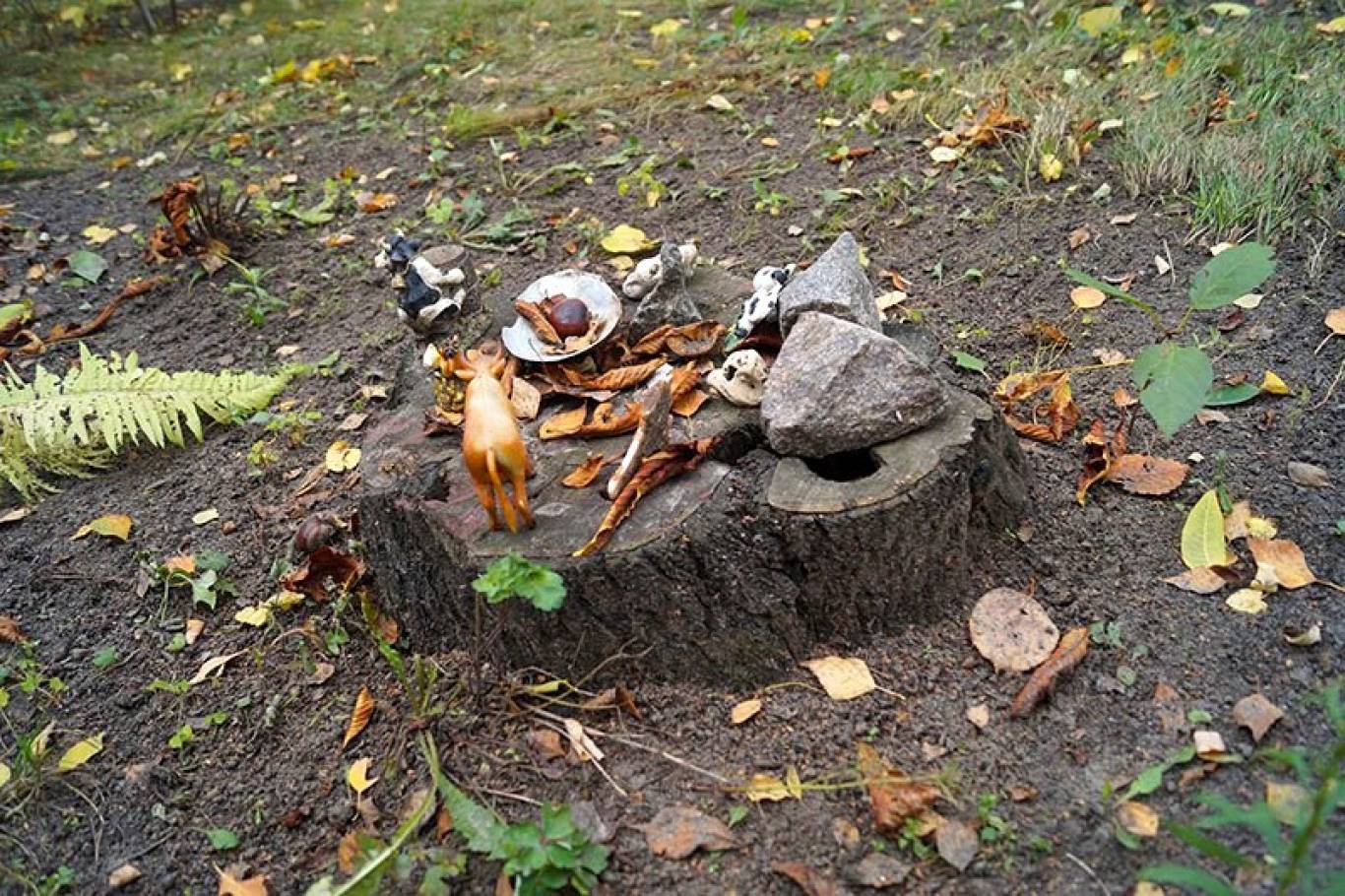 Затишна "Хата на Пріорці"