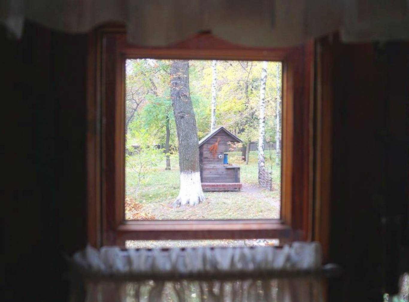 Затишна "Хата на Пріорці"