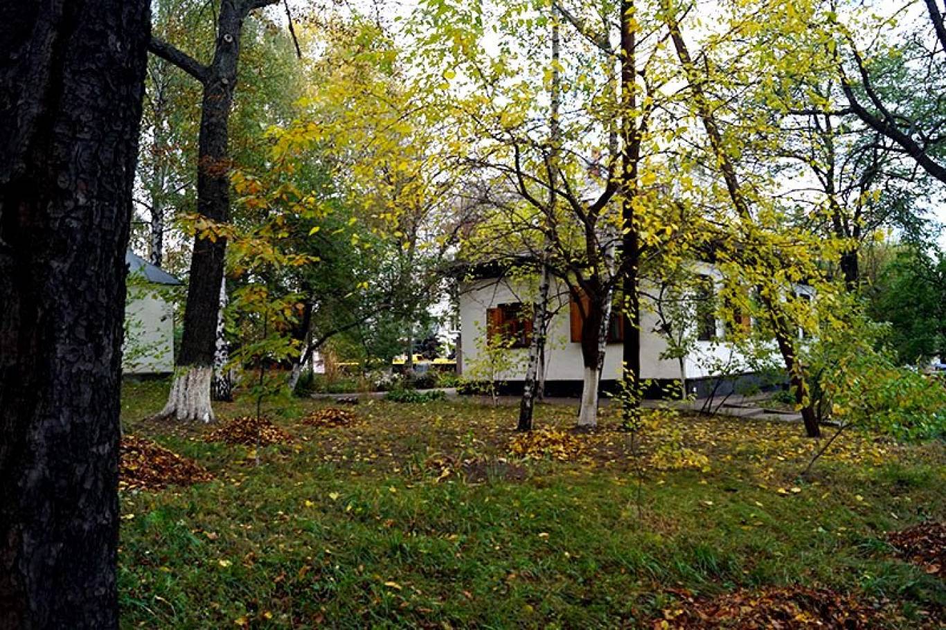 Затишна "Хата на Пріорці"