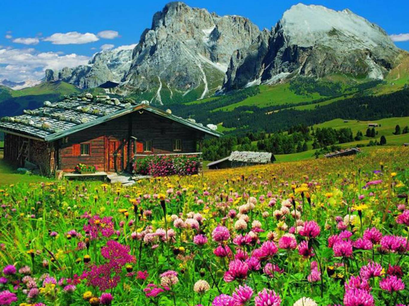 Поїздка в Карпати + Чернівці