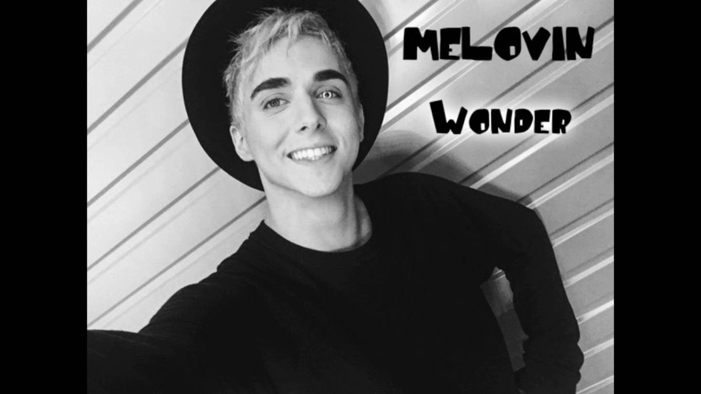 Melovin у Вінниці